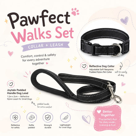 Reflective Dog Walking Set – Collar & Lead Combo