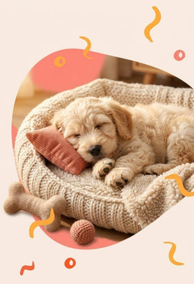 Comfort