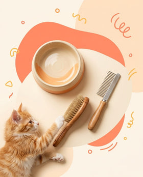 Care & Essentials 